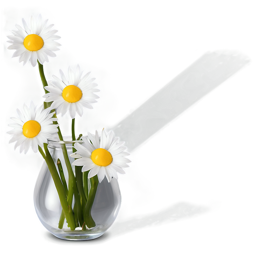 Daisy Flowers In Vase Png 06272024