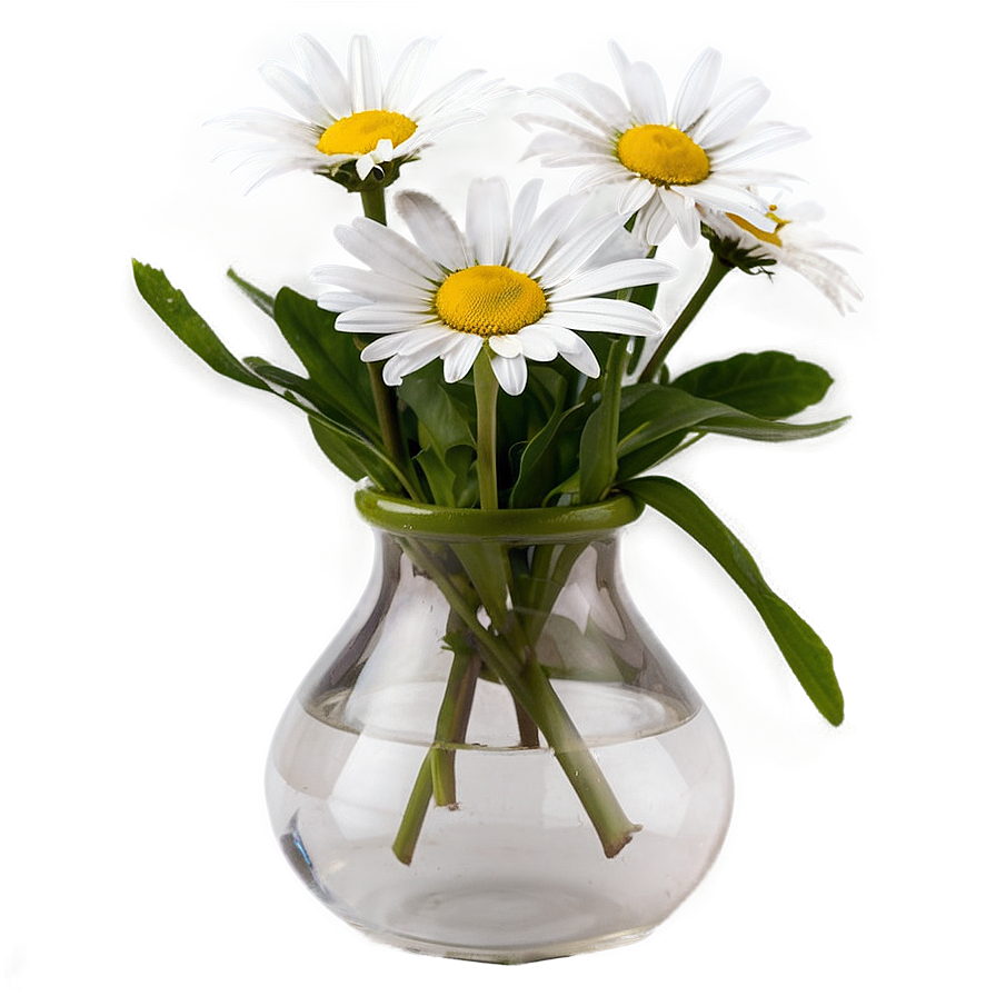 Daisy In Vase Png 32