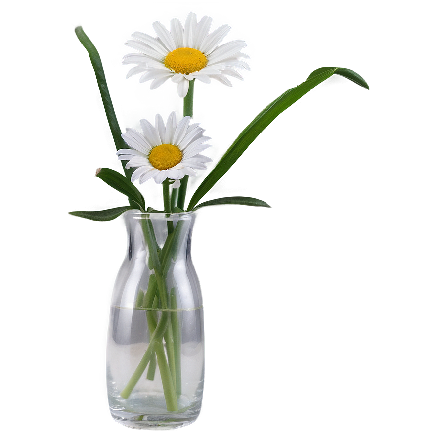 Daisy In Vase Png Moh