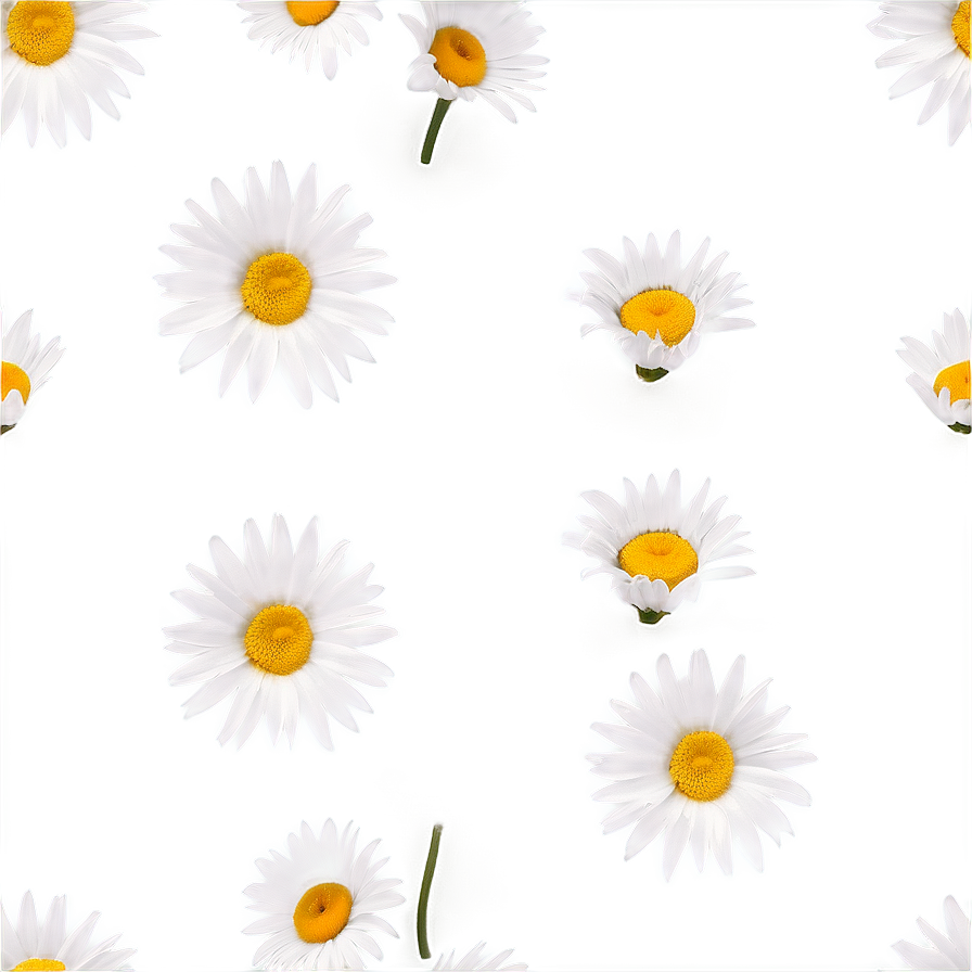 Daisy Pattern Png 05212024