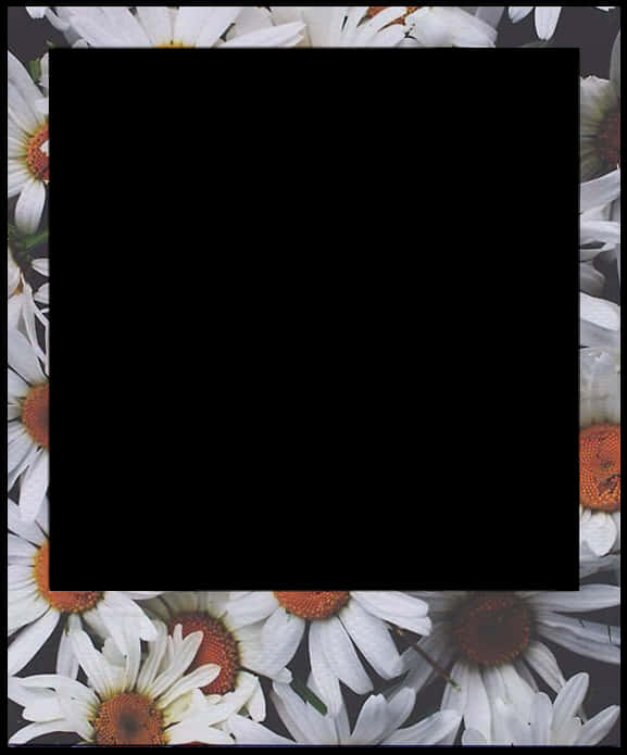 Daisy Polaroid Frame Template