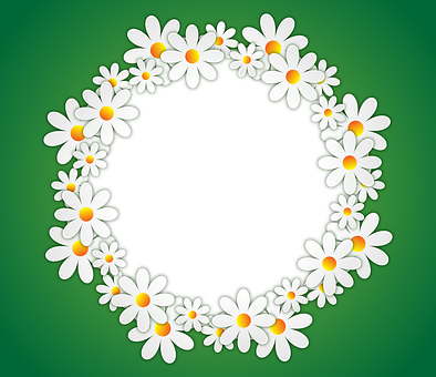 Daisy_ Wreath_ Green_ Background