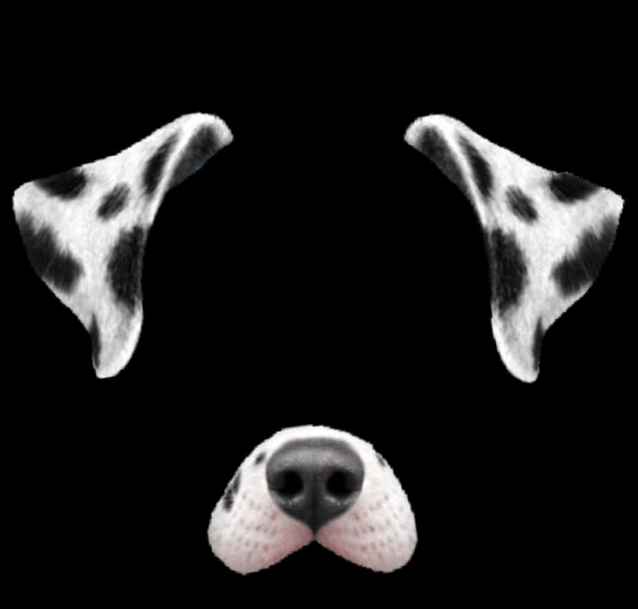 Dalmatian Dog Filter Elements