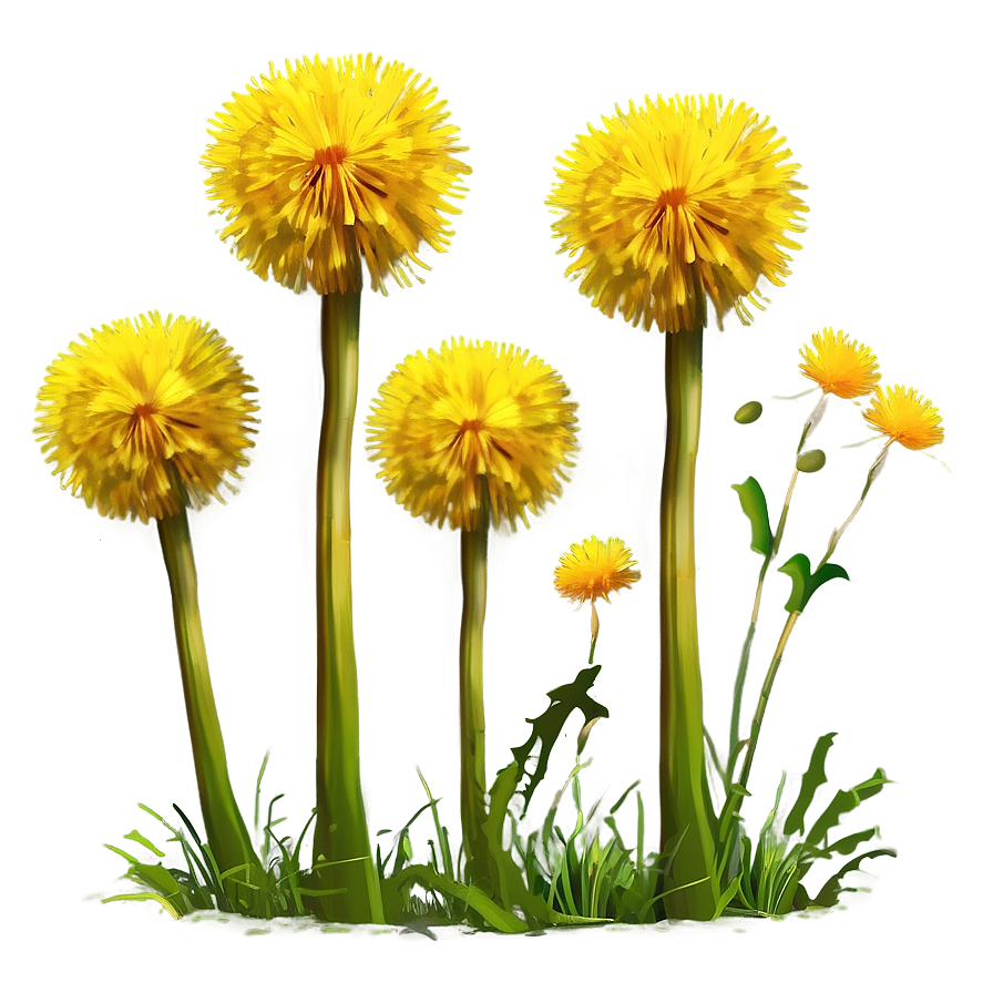 Dandelion Landscape Scene Png 05242024