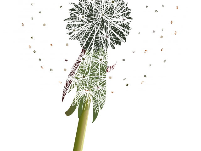 Dandelion Seed Head Graphic