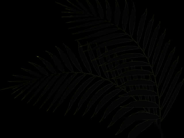 Dark_ Fern_ Leaf_ Outline