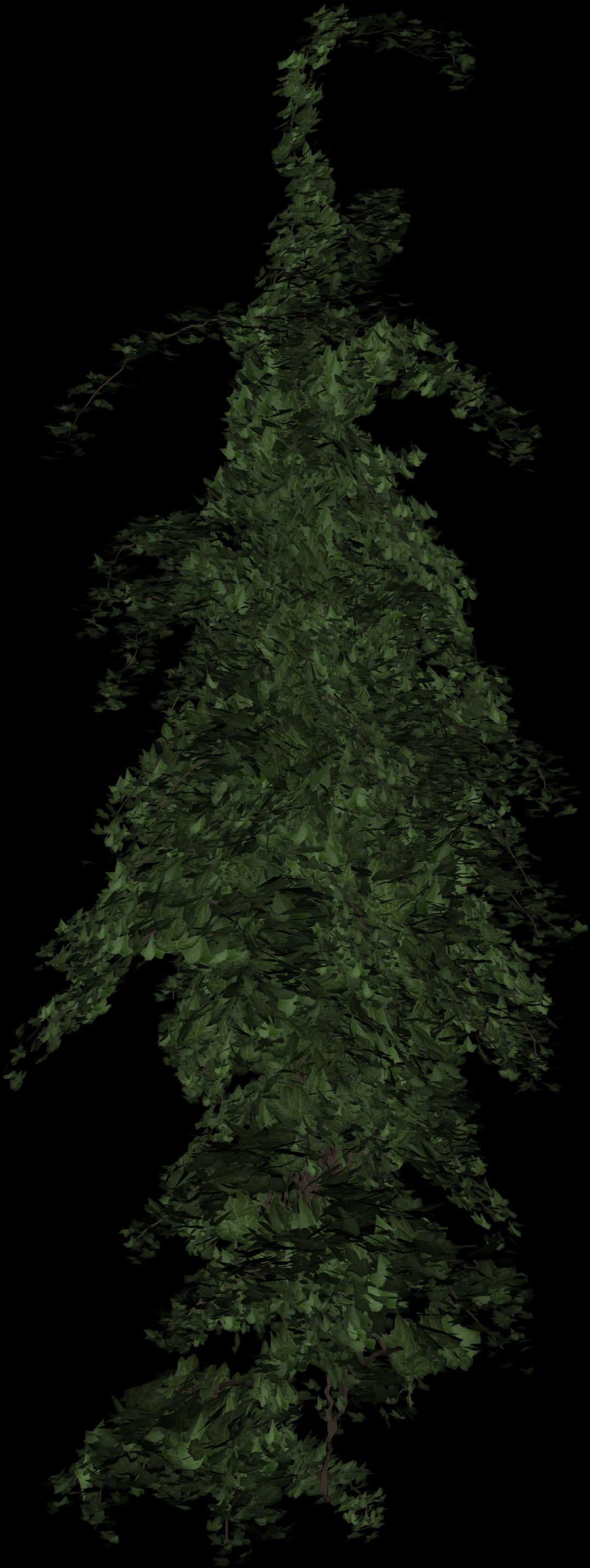 Dark Green Foliage Texture