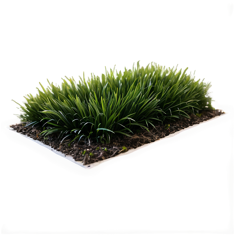 Dark Green Grass Png 04292024