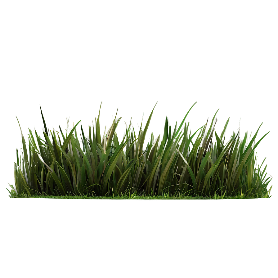 Dark Green Grass Png 98