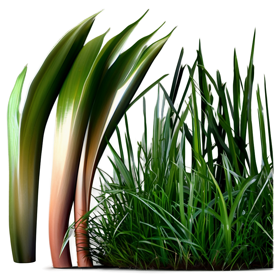 Dark Green Grass Png Oci75