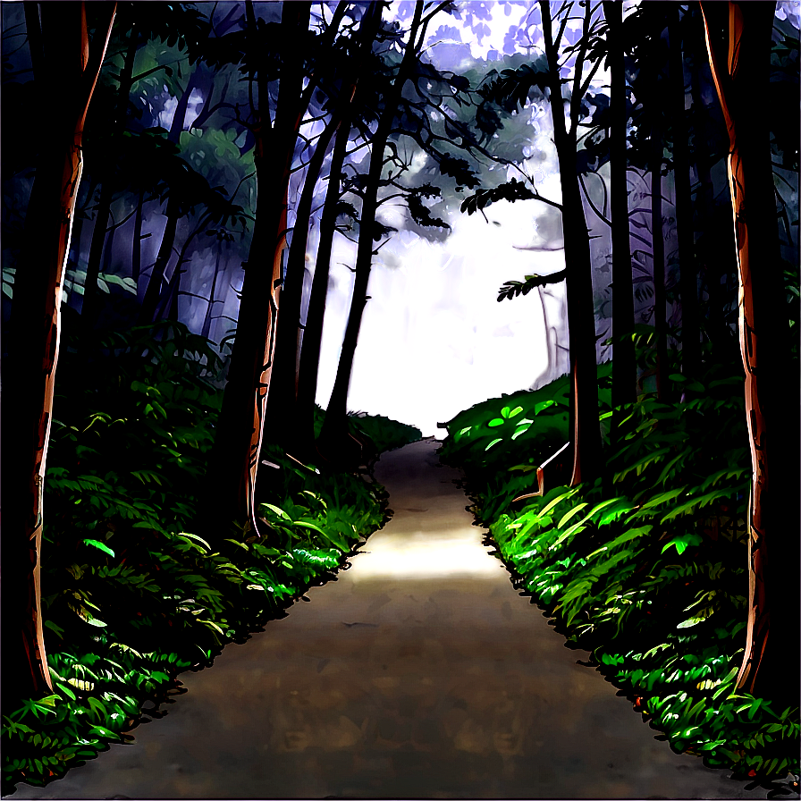 Dark Misty Forest Path Png 63