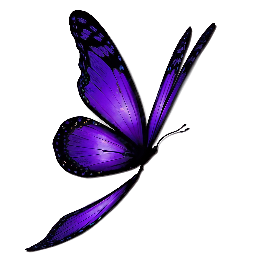 Dark Purple Butterfly Png 05232024