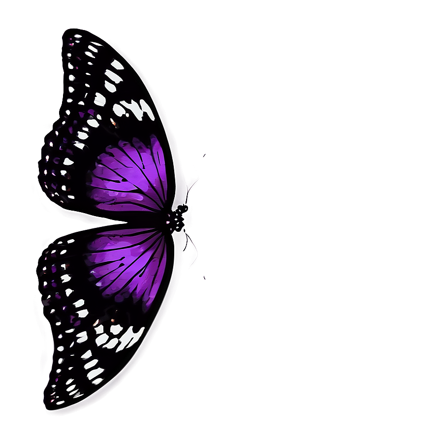 Dark Purple Butterfly Png Ohl