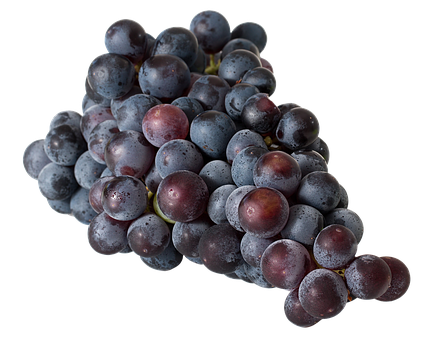 Dark Red Grapes Cluster.jpg