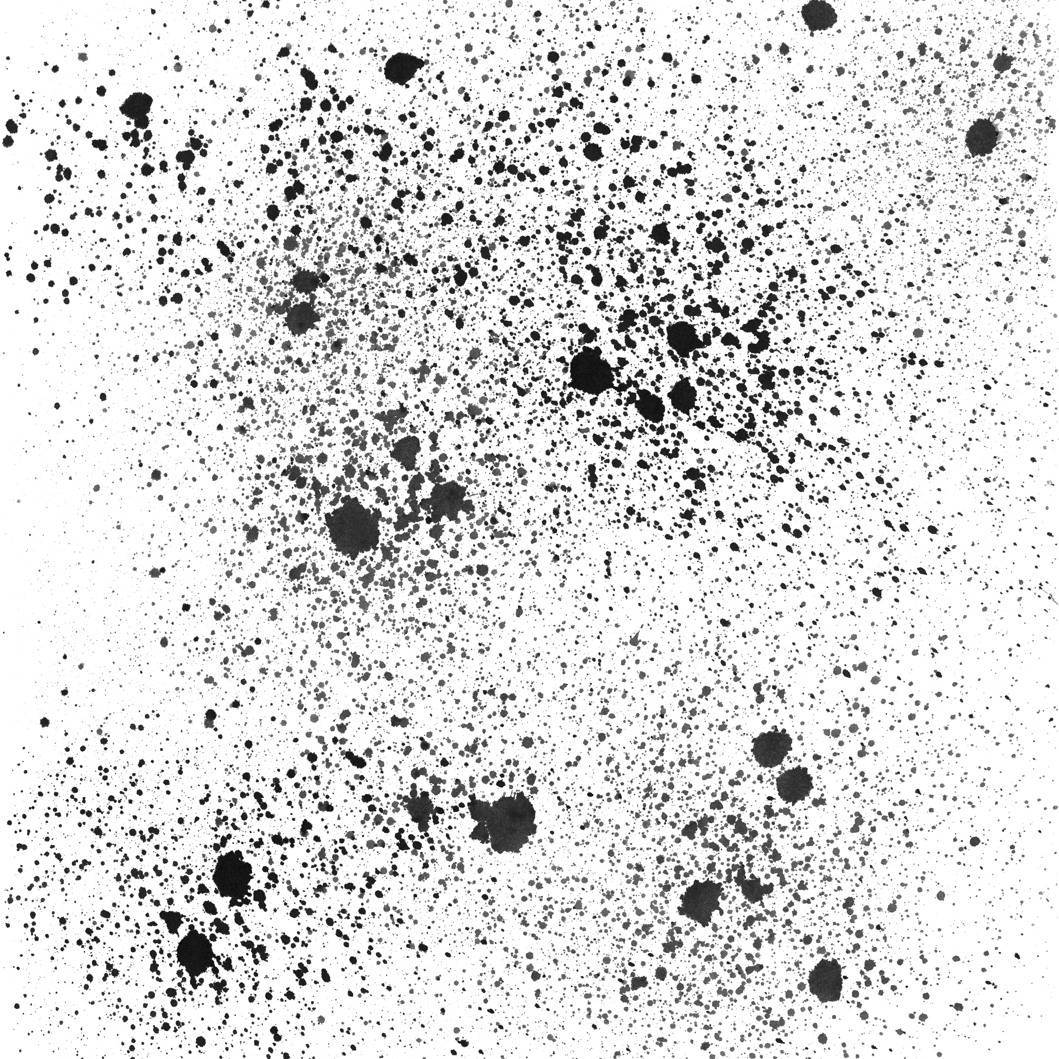 Dark_ Splatter_ Grunge_ Texture