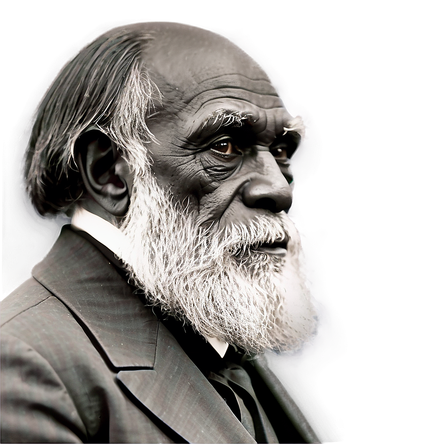 Darwin's Critics And Controversies Png 06252024