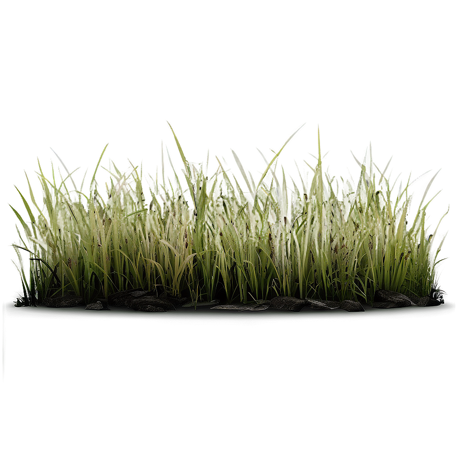 Dead Grass Background Png 45