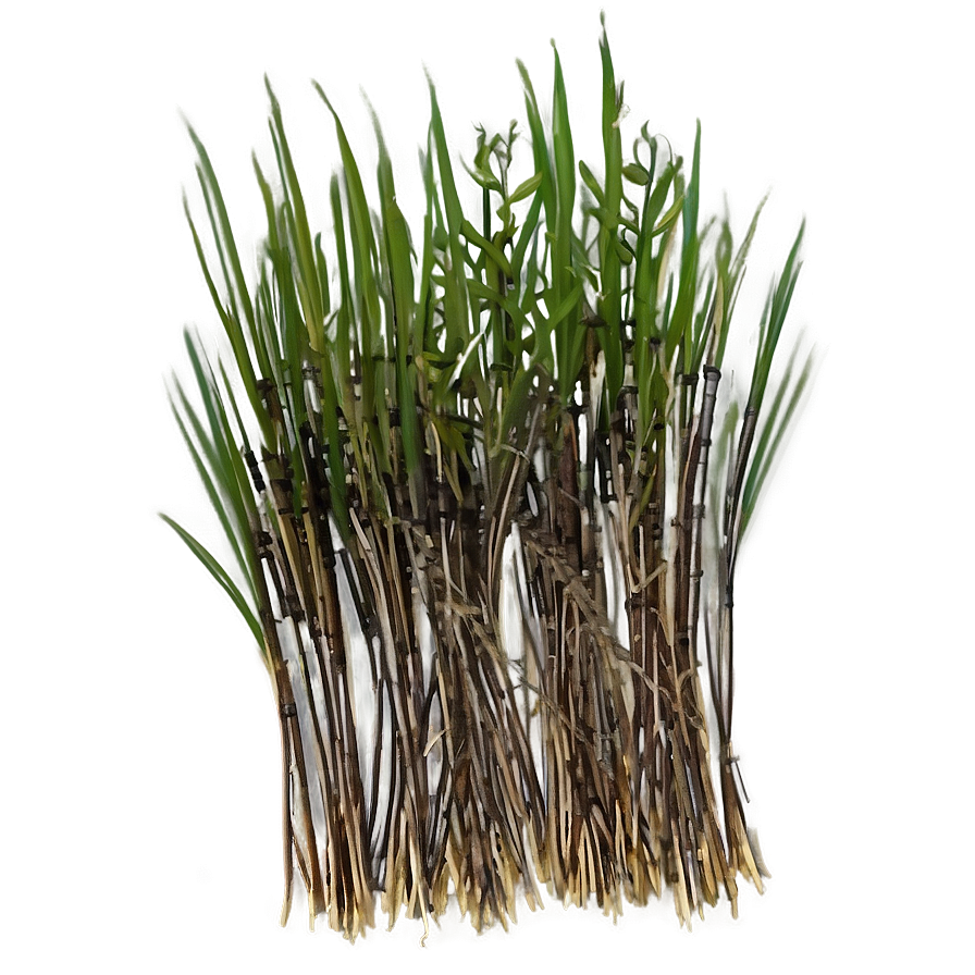 Dead Grass Bundle Png 06282024