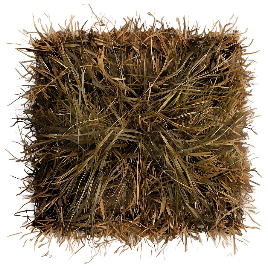 Dead Grass Field Top View Png Bkw53