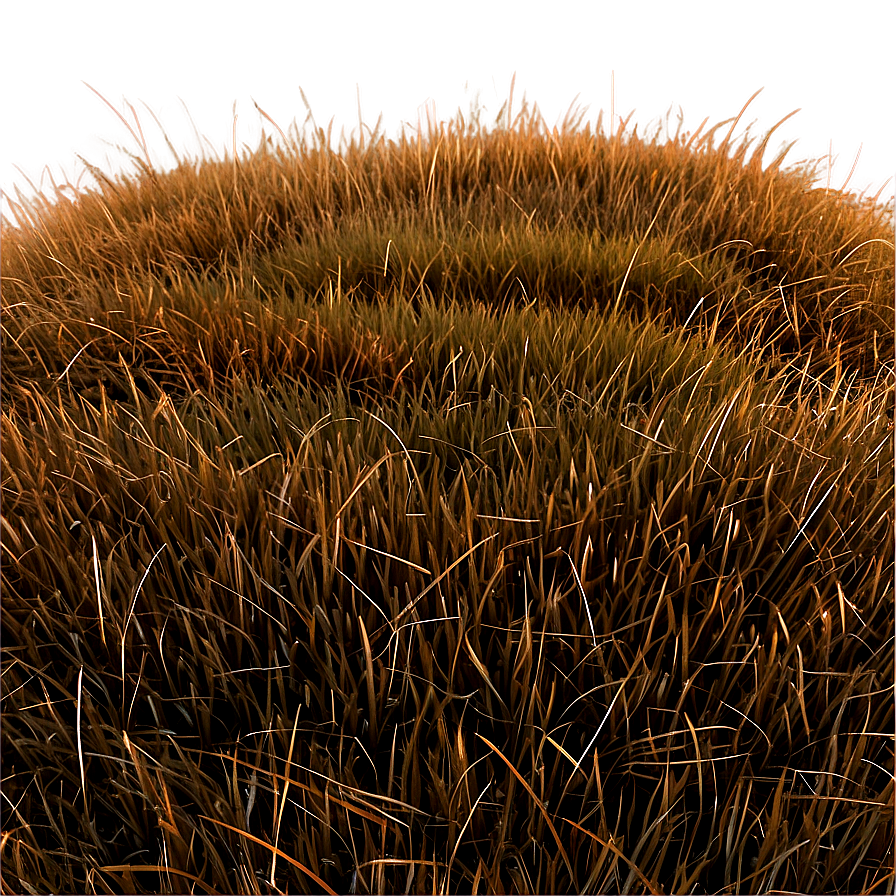 Dead Grass Hill Png 44