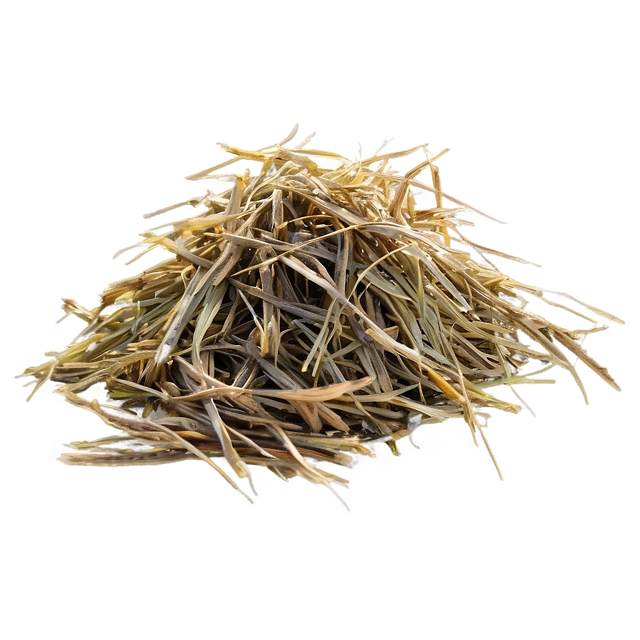 Dead Grass In The Morning Png 84