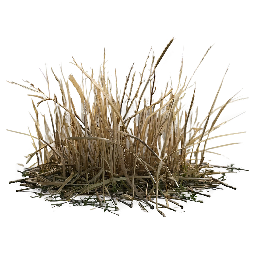 Dead Grass Matte Png Hku33