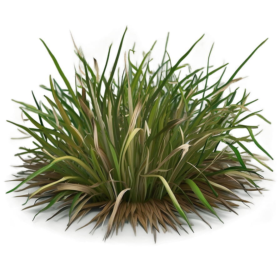 Dead Grass Pattern Png 63