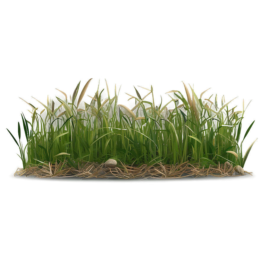 Dead Grass Sward Png 06282024