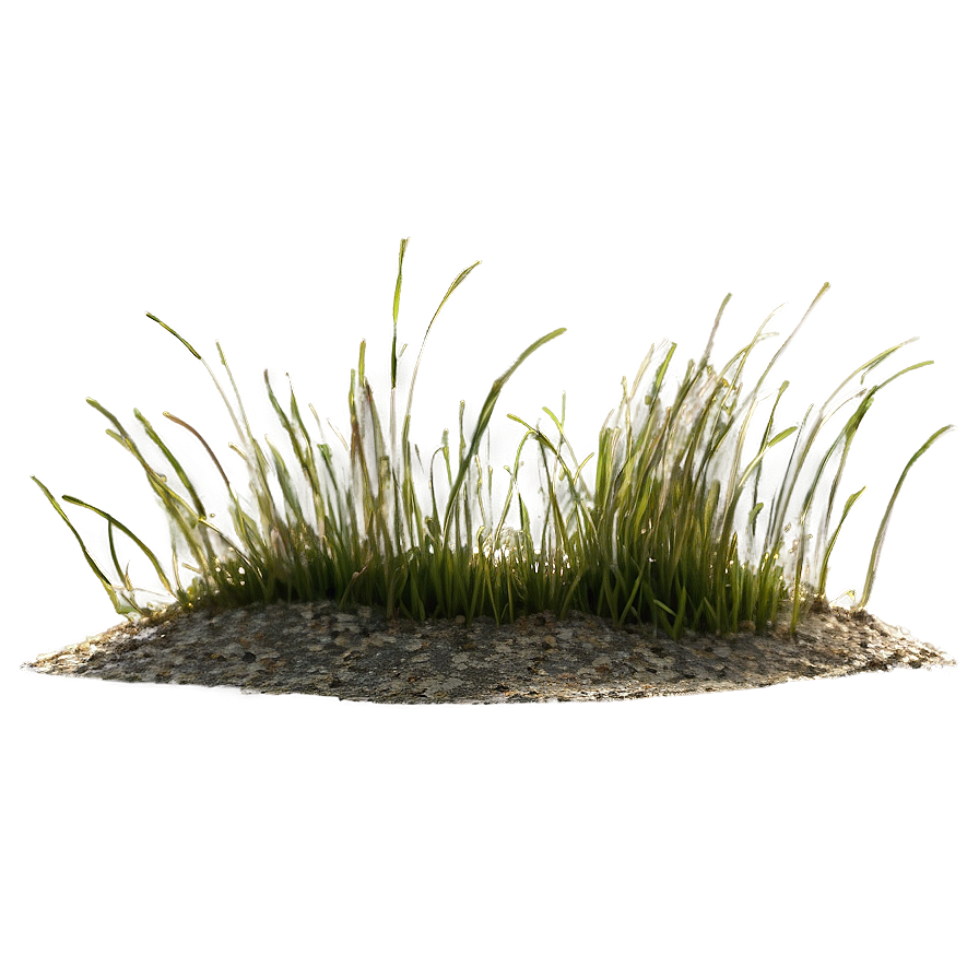 Dead Grass Sward Png Cdw60