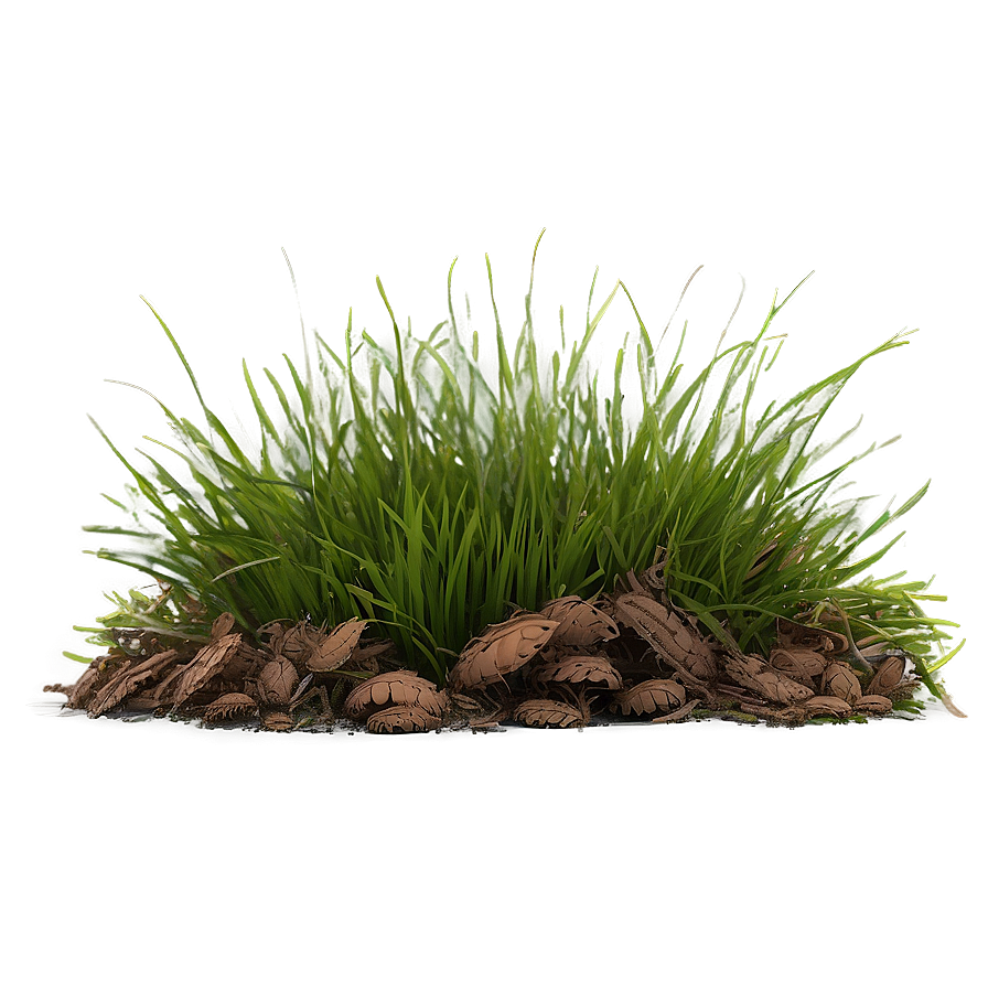 Dead Grass Tuft Png Kce