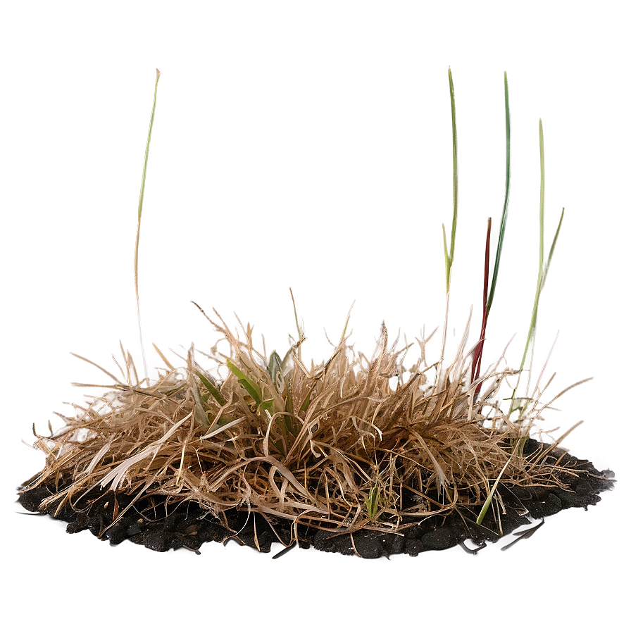 Dead Grass Underfoot Png Ght62