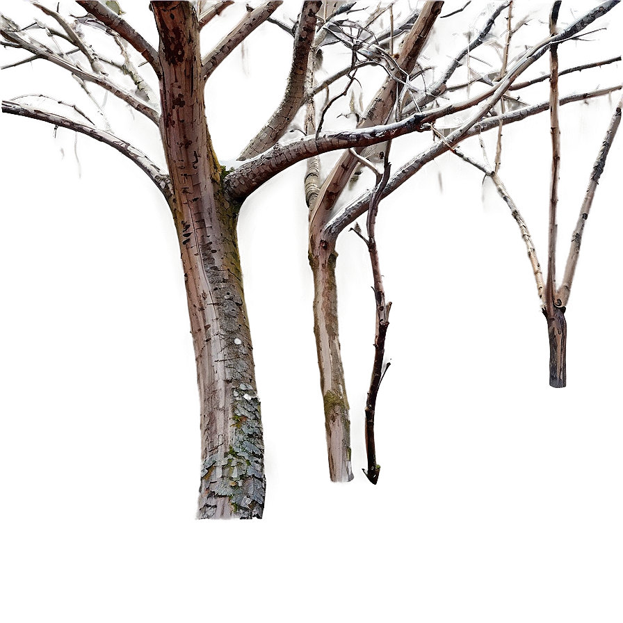 Dead Tree Branches Png 32