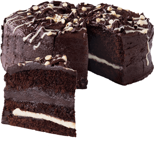 Decadent Layered Chocolate Cake