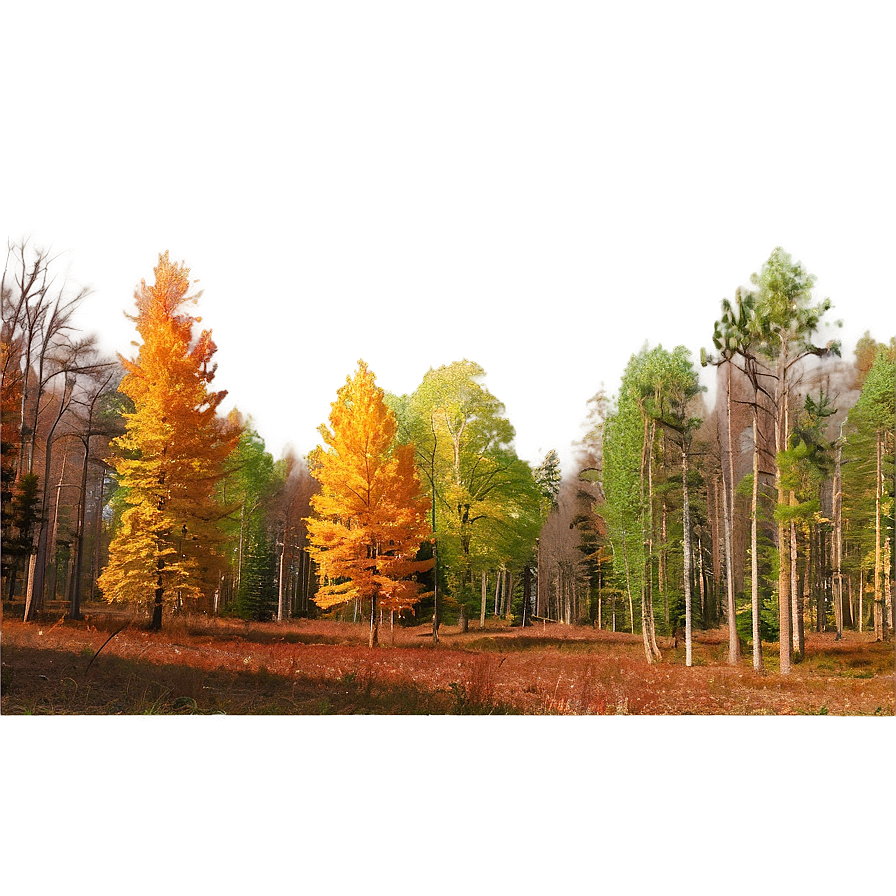 Deciduous Forest Panorama Png Gfe