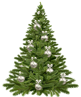 Decorated Christmas Tree Black Background.jpg