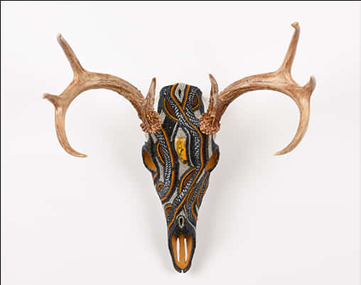 Decorative Deer Skullwith Antlers