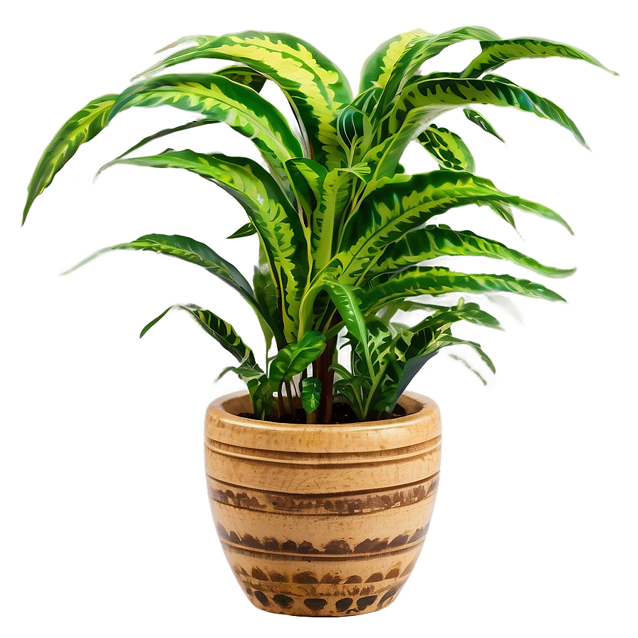 Decorative Floor Plant Png 06282024