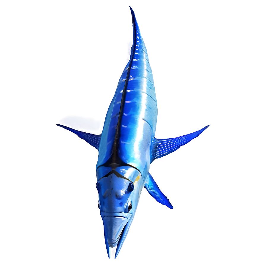 Deep Sea Marlin Png Tgm