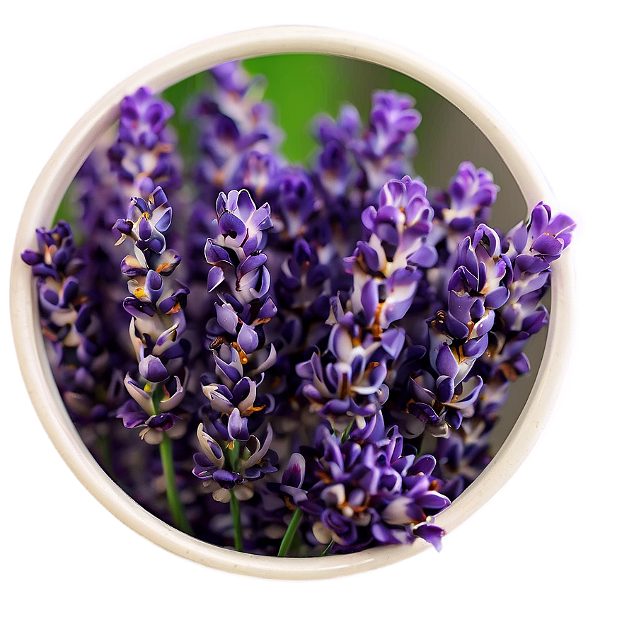 Delicate Lavender Petals Png 40