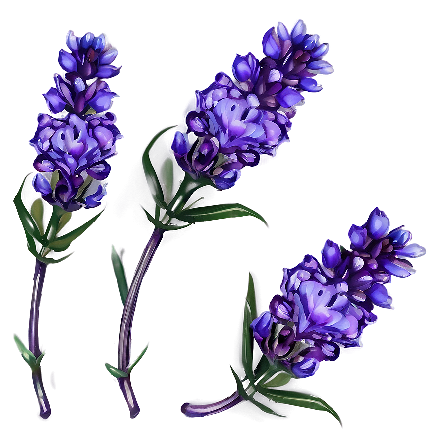 Delicate Lavender Petals Png Eoo