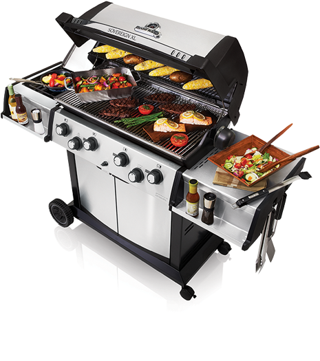 Deluxe Outdoor Grill Setup