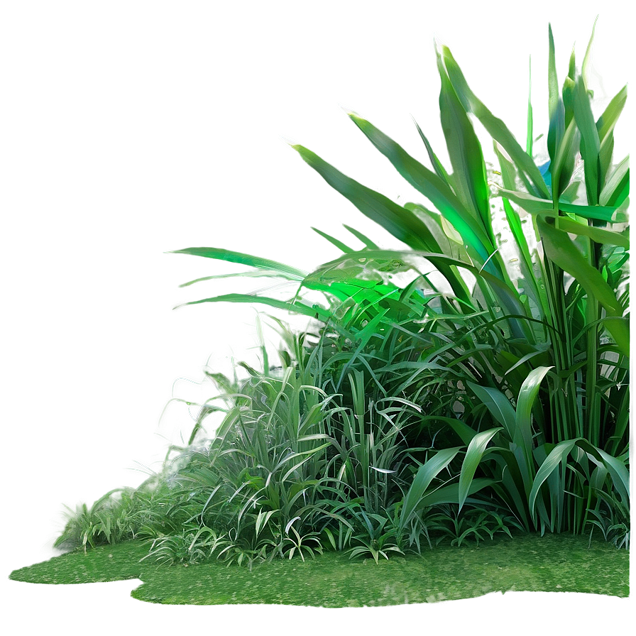 Dense Jungle Grass Png Pct