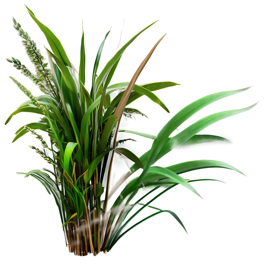 Dense Wild Grass Png Yvk