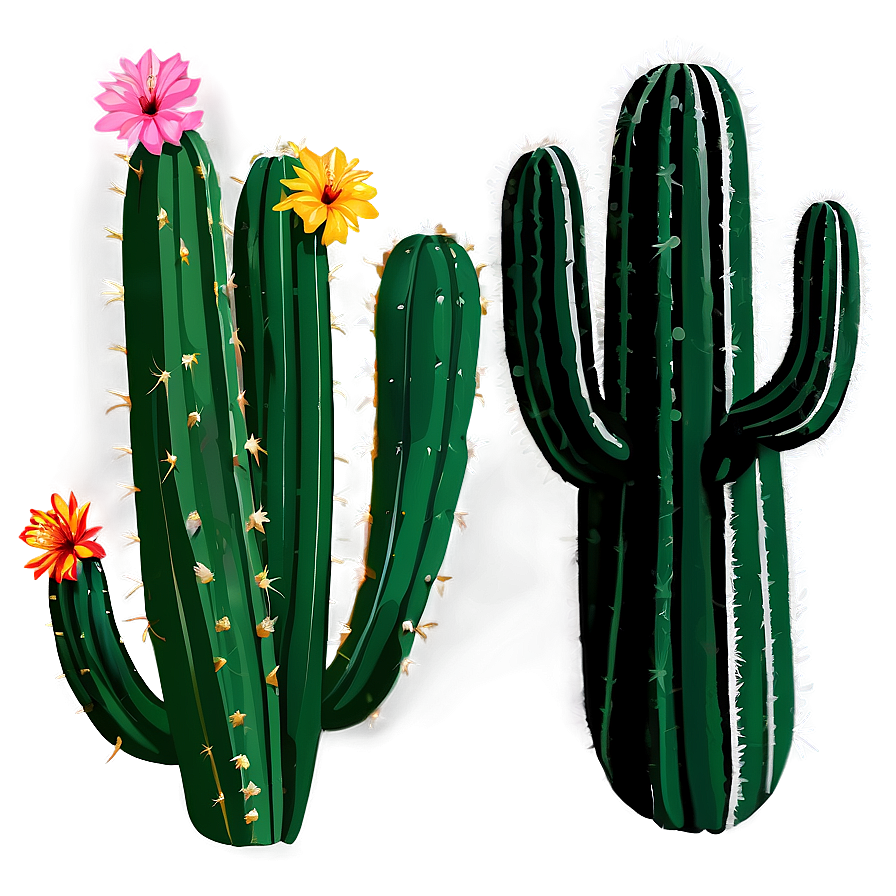 Desert Cactus Png Kls91