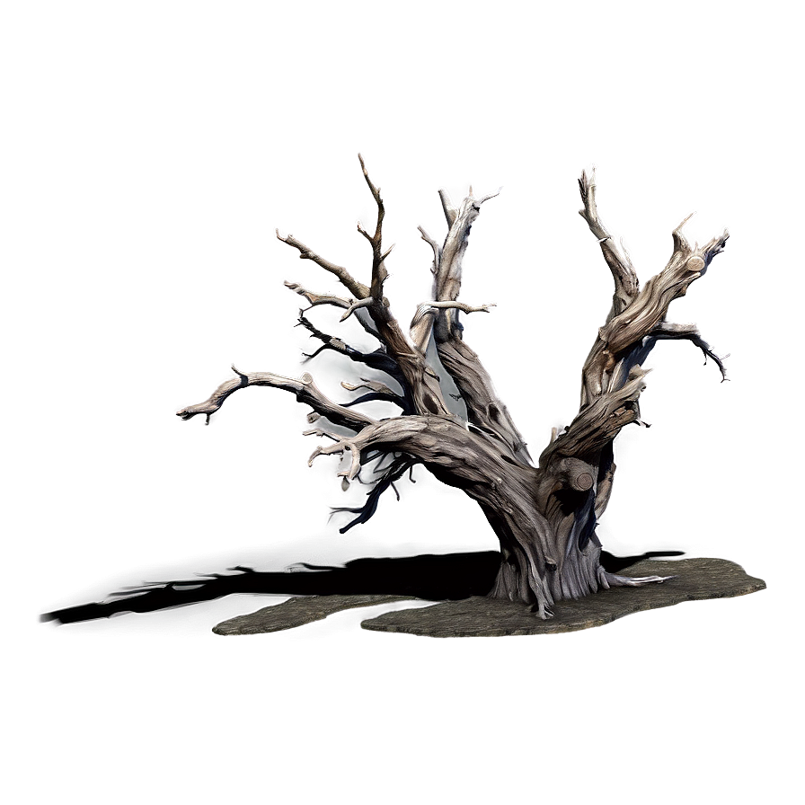 Desert Dead Tree Png Pod25