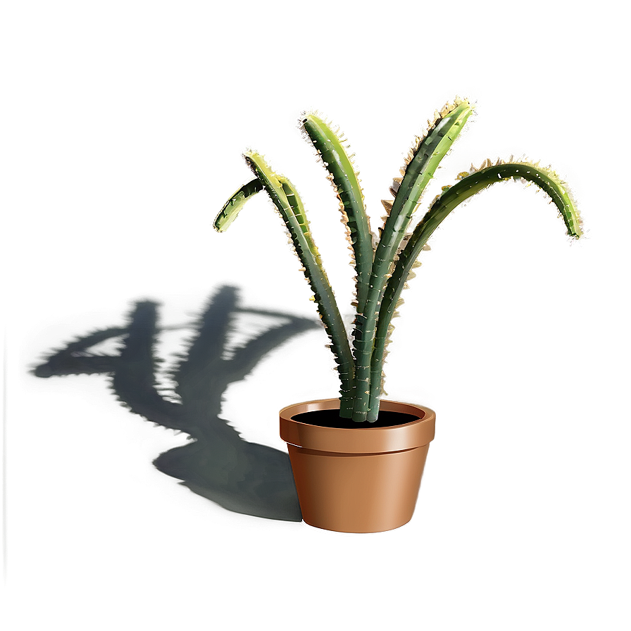 Desert Plant Shadow Png Rpf30