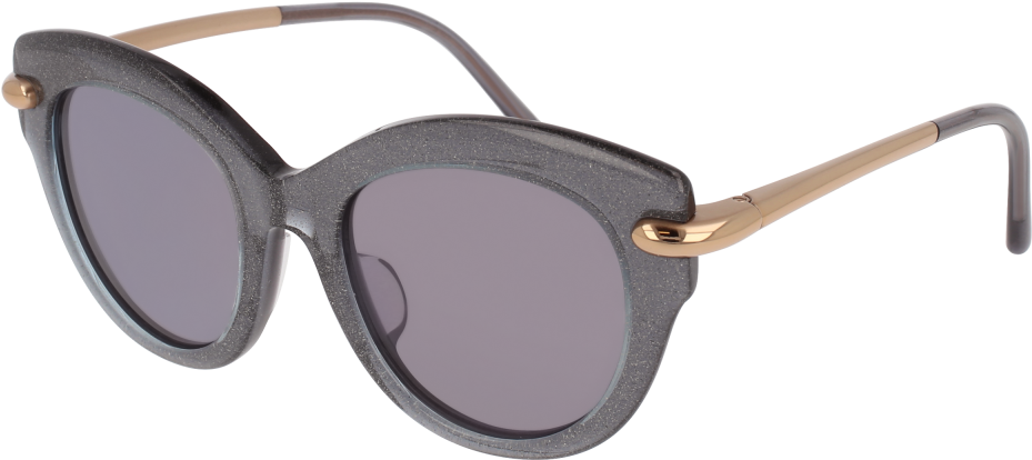 Designer Black Round Sunglasses