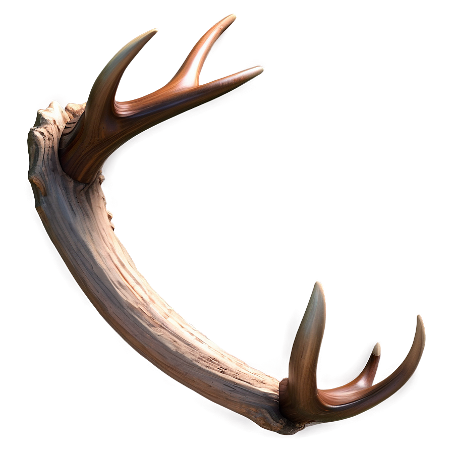 Detailed Antler Sketch Png 16