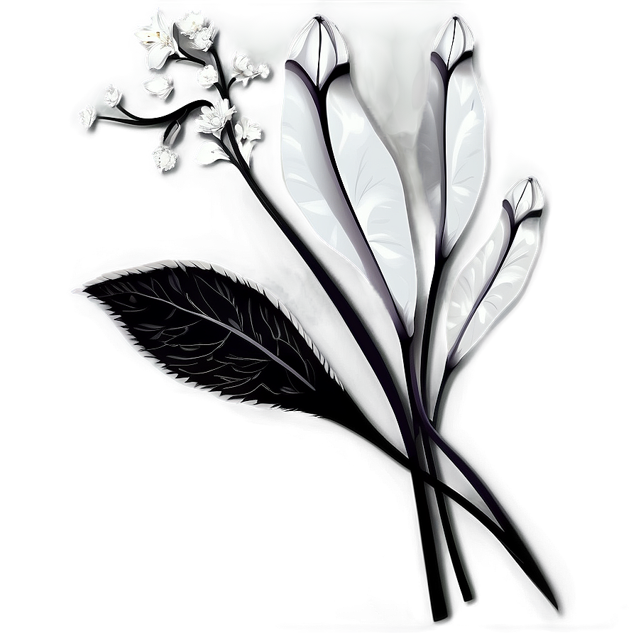 Detailed Black White Flowers Png Glu