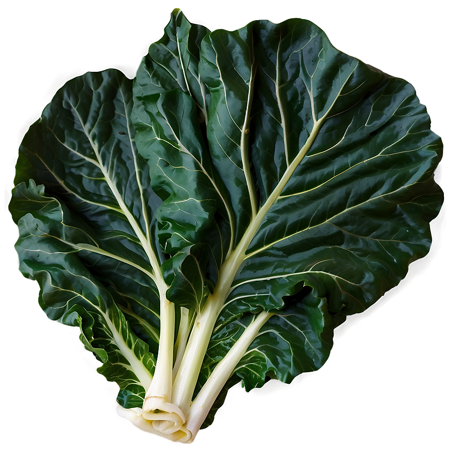 Detailed Collard Greens Png 44